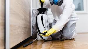 Emergency Pest Control in Cut Off, LA